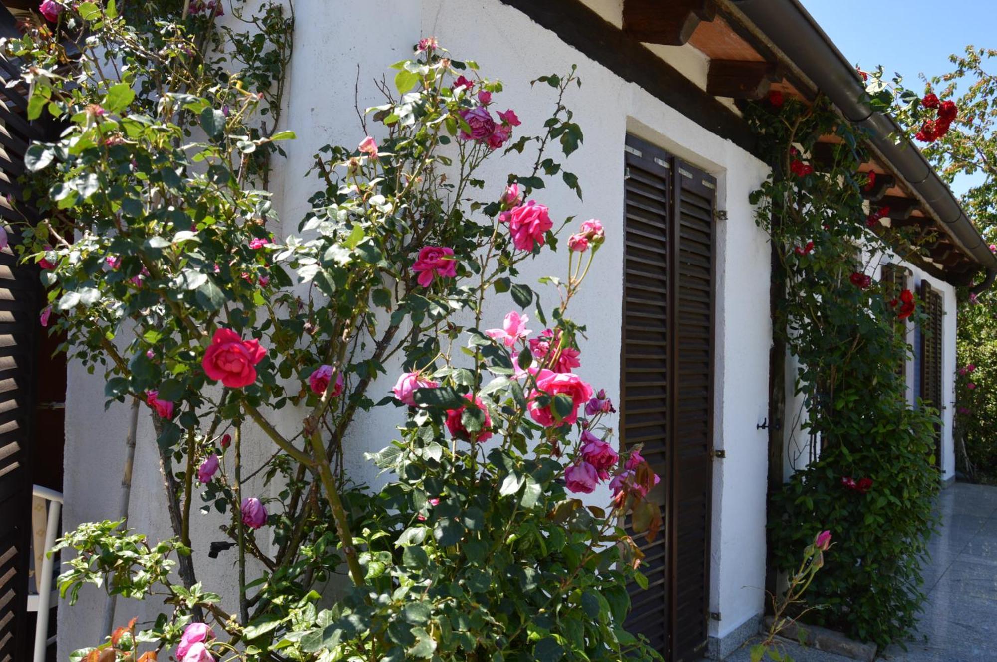 Residence Angiolina Nova Vas  Dış mekan fotoğraf